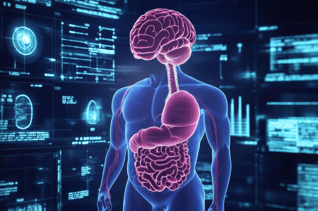 The Gut-Brain Connection: Nurturing Your Mental Health from Within – Zenfullife Nutrition